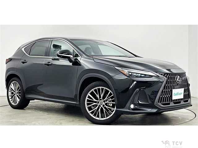 2023 Lexus NX
