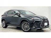 2023 Lexus NX