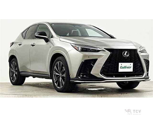 2023 Lexus NX
