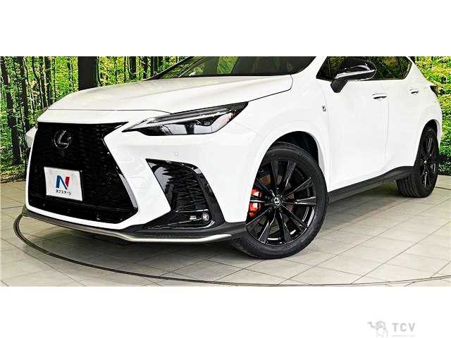 2023 Lexus NX