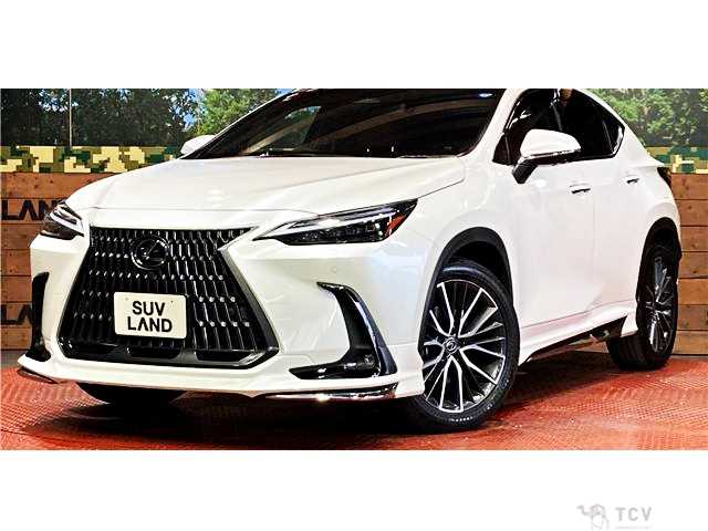 2023 Lexus NX