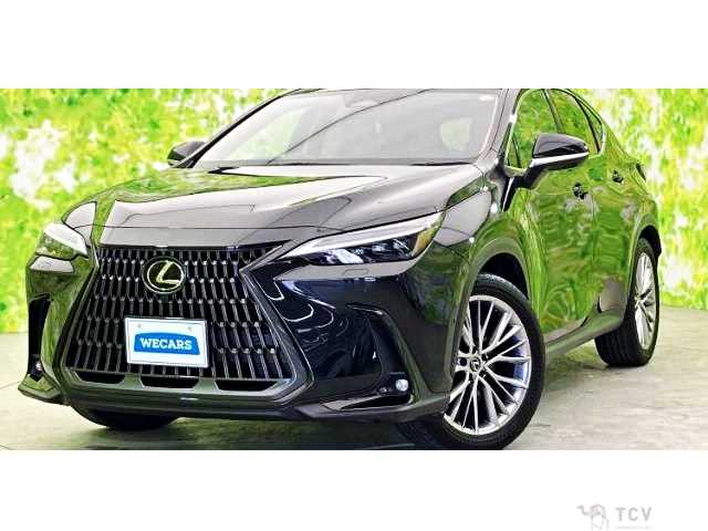 2023 Lexus NX