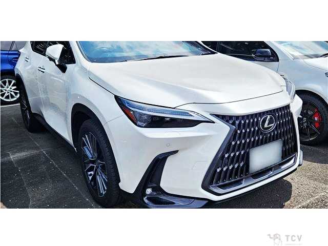 2023 Lexus NX