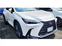 2023 Lexus NX