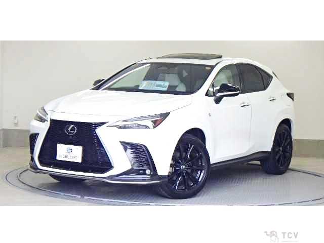 2023 Lexus NX