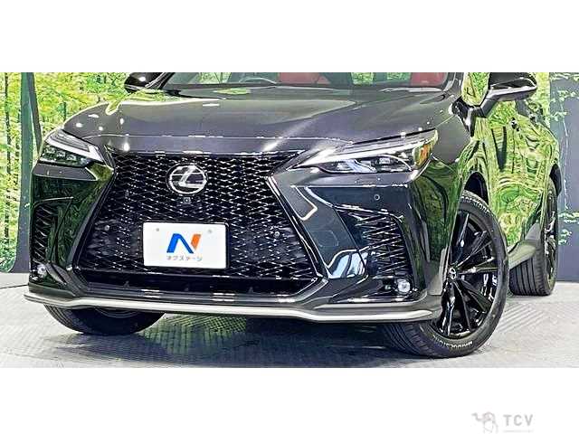 2023 Lexus NX