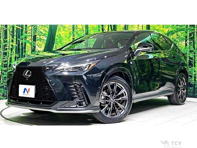 2023 Lexus NX