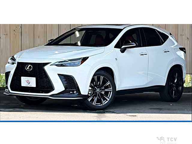 2023 Lexus NX