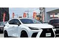2023 Lexus NX