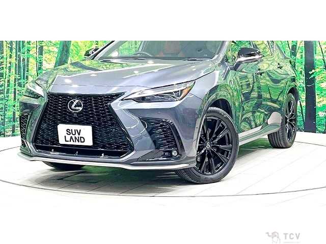 2023 Lexus NX
