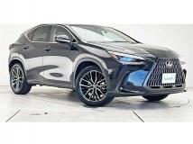 2023 Lexus NX