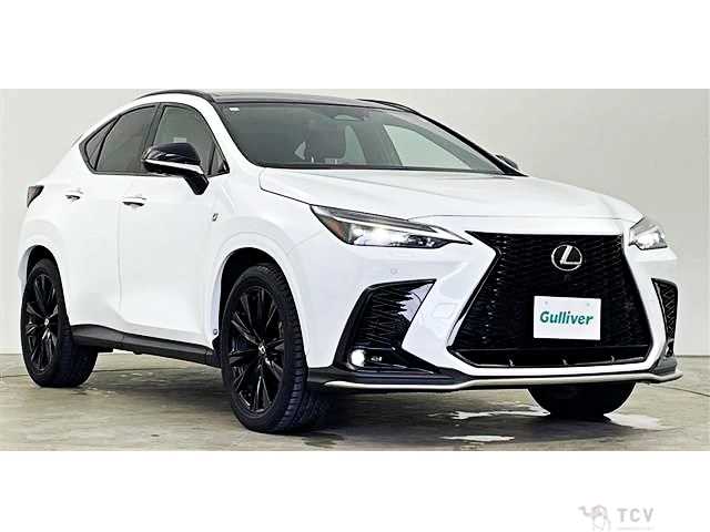 2023 Lexus NX