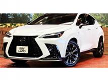 2023 Lexus NX