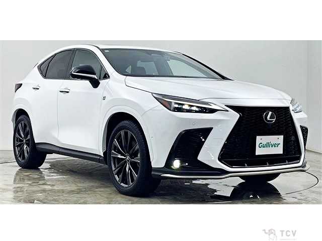 2023 Lexus NX
