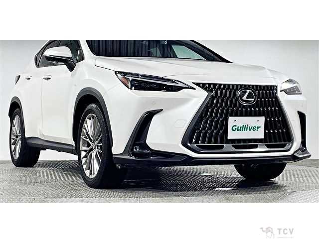 2023 Lexus NX