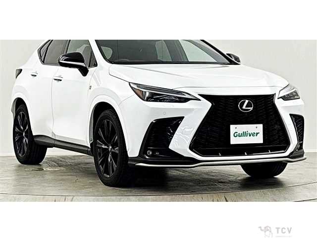 2023 Lexus NX