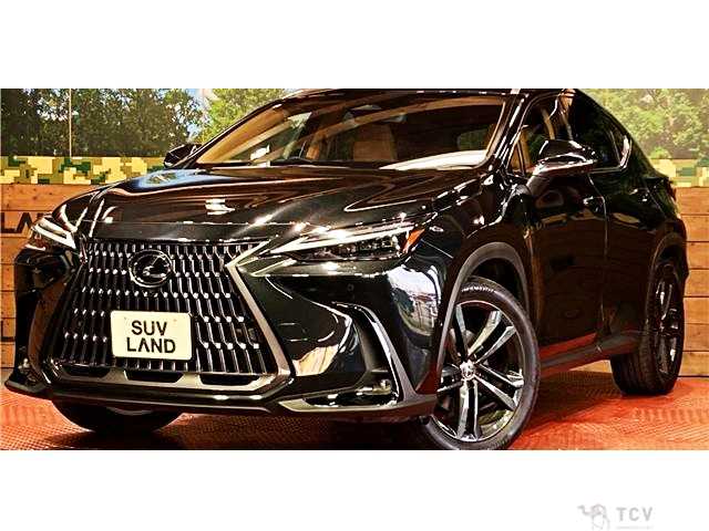 2023 Lexus NX