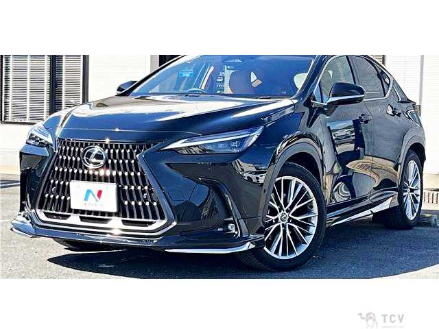 2023 Lexus NX
