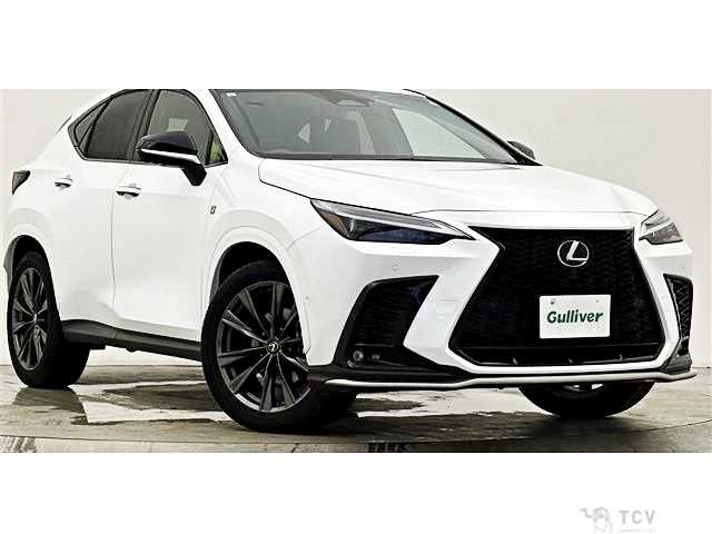 2023 Lexus NX