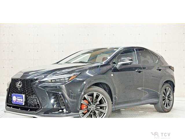 2023 Lexus NX
