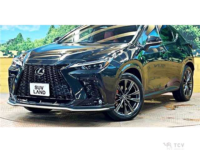 2023 Lexus NX