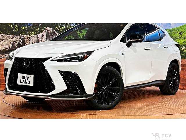 2023 Lexus NX