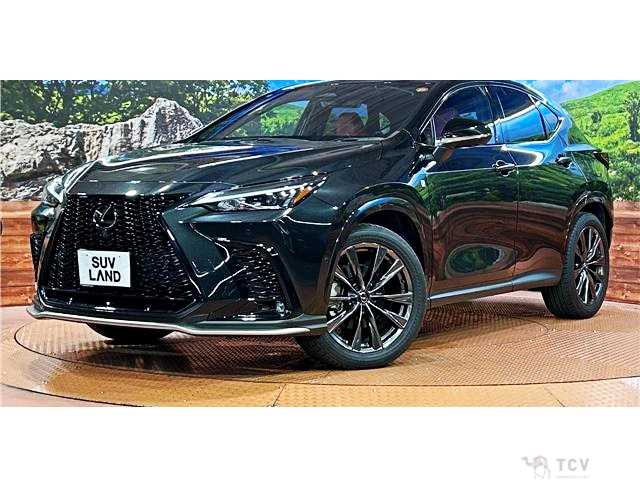 2023 Lexus NX