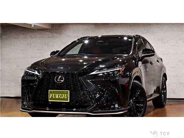 2023 Lexus NX
