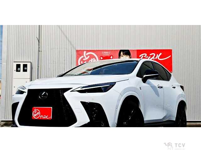 2023 Lexus NX