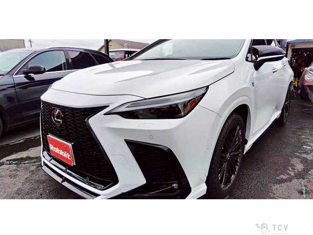 2023 Lexus NX