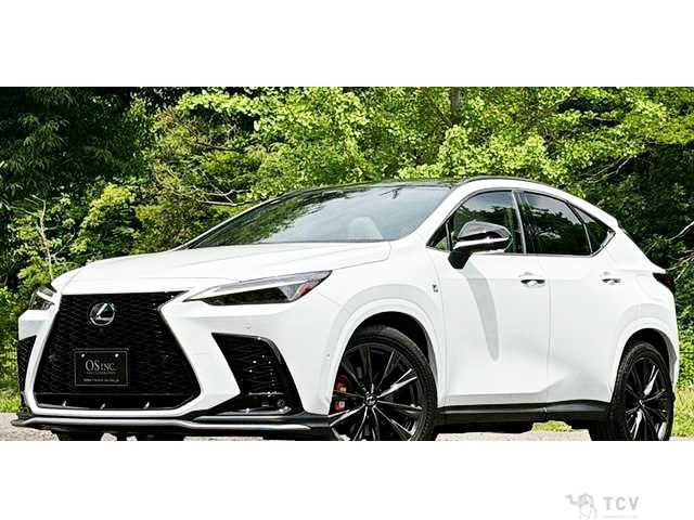 2023 Lexus NX