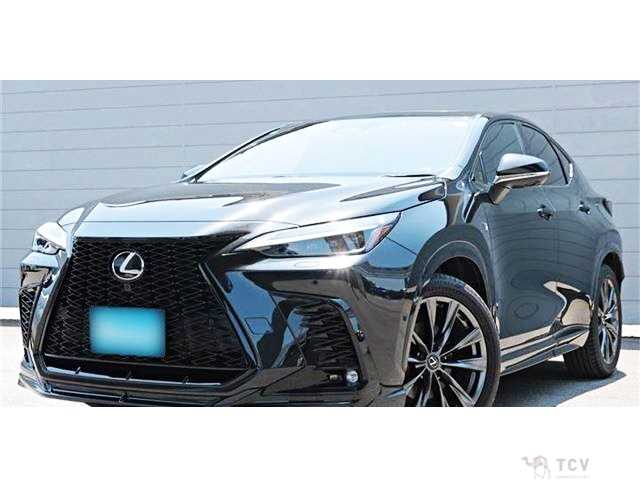 2023 Lexus NX