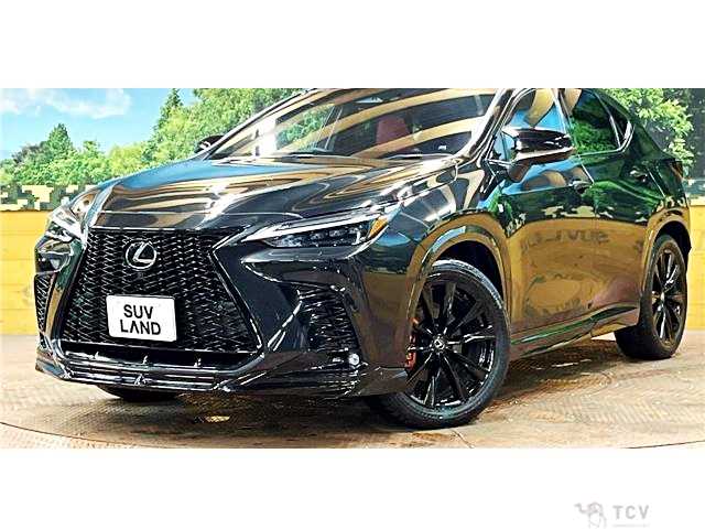 2023 Lexus NX