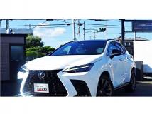 2023 Lexus NX