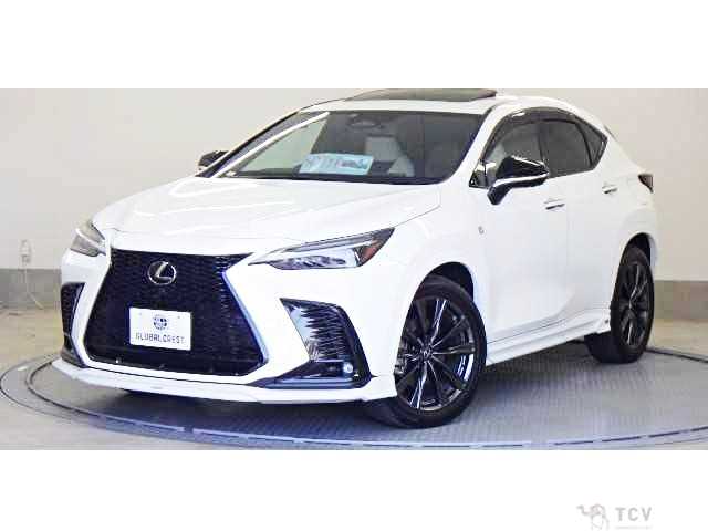 2023 Lexus NX