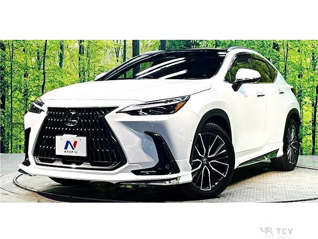2023 Lexus NX