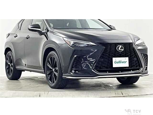 2023 Lexus NX