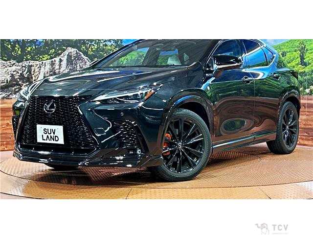 2023 Lexus NX