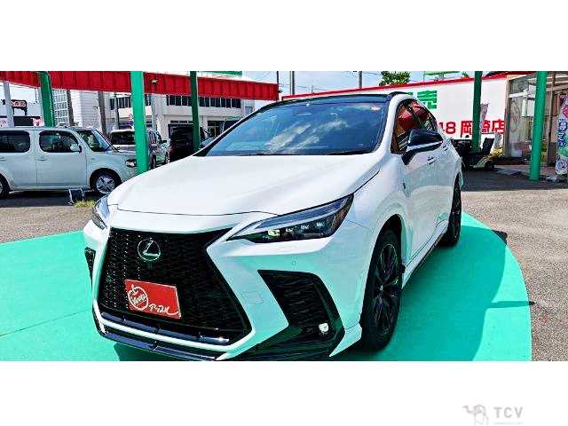 2023 Lexus NX