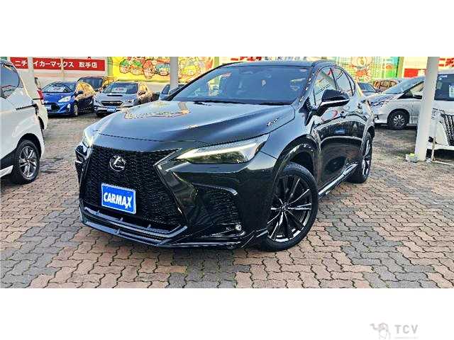 2023 Lexus NX