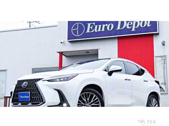 2023 Lexus NX