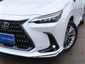 2023 Lexus NX