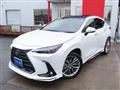 2023 Lexus NX