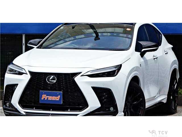 2023 Lexus NX