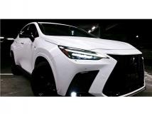 2023 Lexus NX