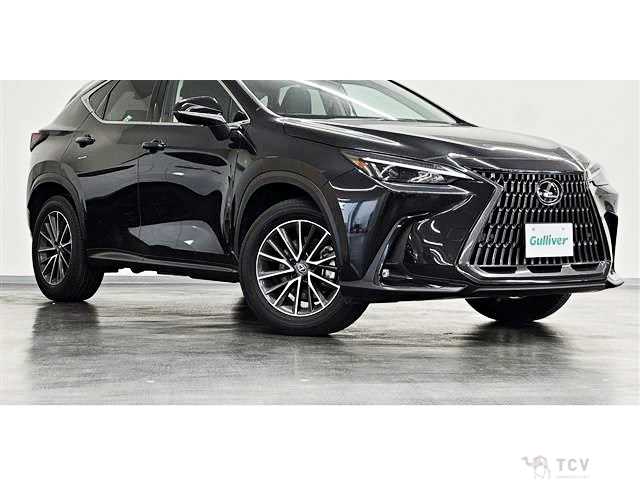 2023 Lexus NX