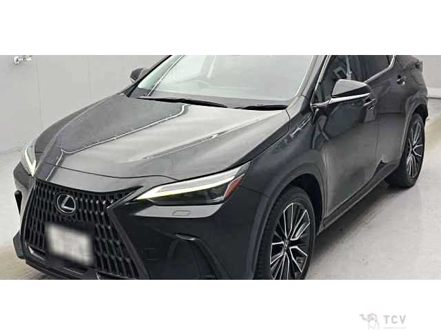 2023 Lexus NX