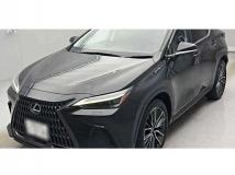2023 Lexus NX