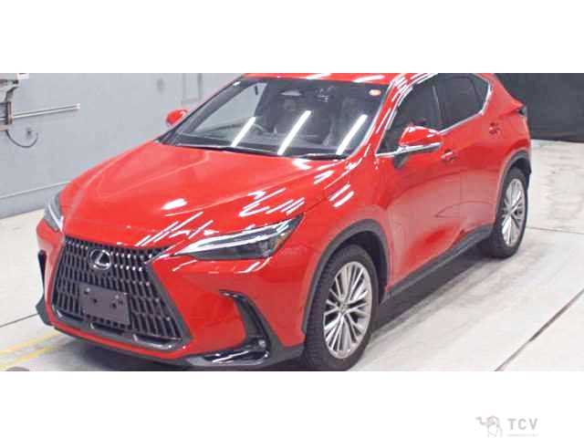 2023 Lexus NX