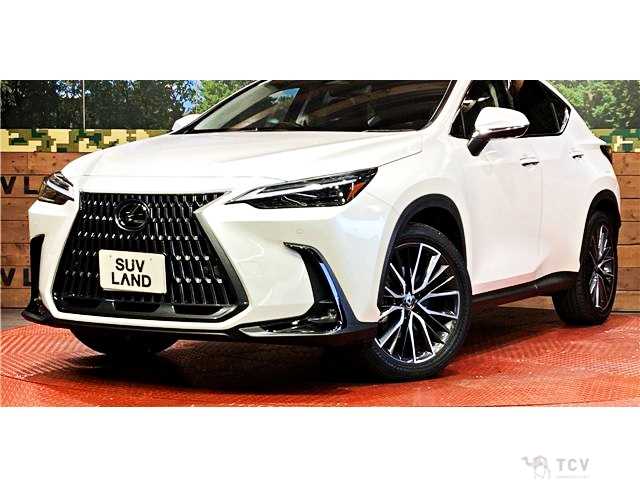 2023 Lexus NX